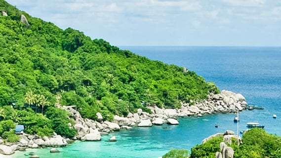 Grüne Felsküste und türkisblaues Meer bei Koh Nang Yuan vor Koh Tao