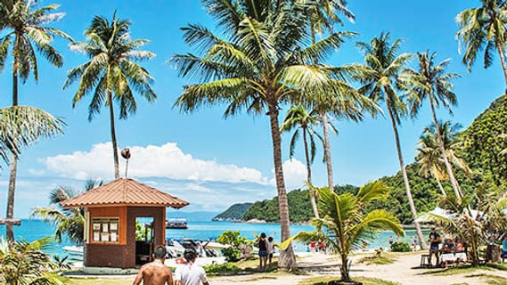 Palmenstrand auf einer Insel im Ang Thong Nationalpark bei Koh Samui