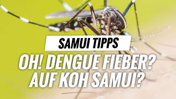 Dengue Fieber Thailand